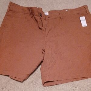 GAP Men's Tan Shorts